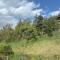 Ramuge A 037 - COSY apartment 4 pers - Veysonnaz