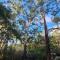 Jimmara Views 3bd with Pinnacle outlook