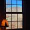 Wolf Laurel Bee Mountain Retreat - Pet Friendly