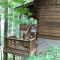 Wolf Laurel Bee Mountain Retreat - Pet Friendly