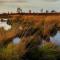 Holiday Inn Express Pascagoula-Moss Point by IHG