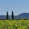 Maison de maître dans les vignes - 特雷斯
