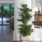 4 BDR Federation Style Home
