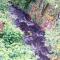 Heaven's Cottage - Cieux