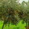Le Meridien Nfis Le Meridien Nfis