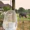MHONDORO SAFARI LODGE & VILLA