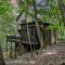 Our Nest - جاسبر