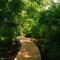 Aldea Coba a Comfortable Sleep in the Jungle