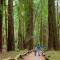 Your Lazy Bear Destination - You're Right In The Thick Of It! Book It Now, Reach Out With Questions! - Guerneville
