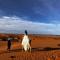 Amskou Desert Camp - Merzouga