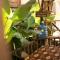 Citra Homestay