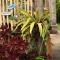 Citra Homestay