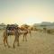 Royal Empire Camp & Resort Jaisalmer