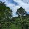 Pathaayam Farm view home - Kalpatta