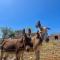 Agroturismo Ses Illes