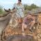Agroturismo Ses Illes