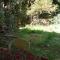 A Bed in a dormitory shared with other 5 where Nature & spirit Meet - 萨法德