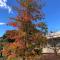 The Manse Omeo