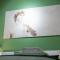 Euphoria - elegance rooms - Conversano