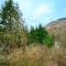 LLAREGGUB Amazing House In Afan Forest With Breath-Taking Views By StayStaycations - 塔尔伯特港