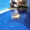 Villa with rooftop bar overlooking sea, pool & vegetable garden - Tamaris