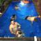 Charmant studio avec piscine à Le Port de 20 m² - 拉波塞雄