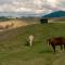 Valley Views Off-Grid Cabin - Pet Friendly - Nicho