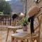Villa in the Olive Trees - Galaxidi