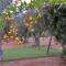 Villa in the Olive Trees - Galaxidi