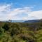 Magic in Medlow