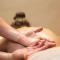 Ritzenhof - Hotel und Spa am See 4-Sterne-Superior