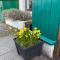 Loch Ness village cottage for 2 with free parking & pets welcome