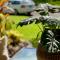 Noosa Sound Resort -Townhouse 16