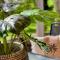 Noosa Sound Resort -Townhouse 16