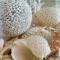 Noosa Sound Resort -Townhouse 16