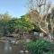 Homestay Baan Auy Chiangmai - Ban Nong Chaeng