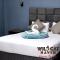 WildCat Haven Guest House - 卡萨内