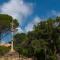 Sant Pere del Bosc Hotel & Spa - Adults Recommended
