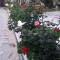 Pension Kyriakos