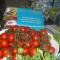 Karbel Beach Hotel