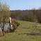 Tench Hut - Uckfield