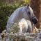 La Perle de lAtlas by Golf Resort