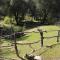 Home at Yosemite Oakhurst - Oakhurst