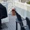 Holgate Ocean Front Duplex 2Nd Fl 14018 - Holgate