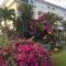 LES HIBISCUS