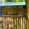 Anez CabinS