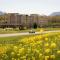 Hampton Inn and Suites Woodstock, Virginia