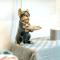 Niru Experience Elegant Apartment In Kensington - 伦敦
