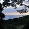 Cottage Views