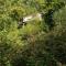 Tiny House - La Foret du Dragon - Murols